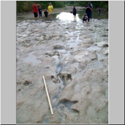 100_0550 (2009-26-07)m.JPG